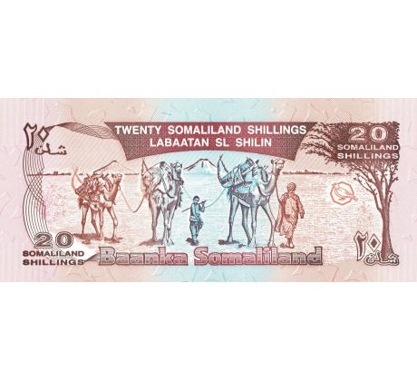 20 shilings 1994-96 Somaliland