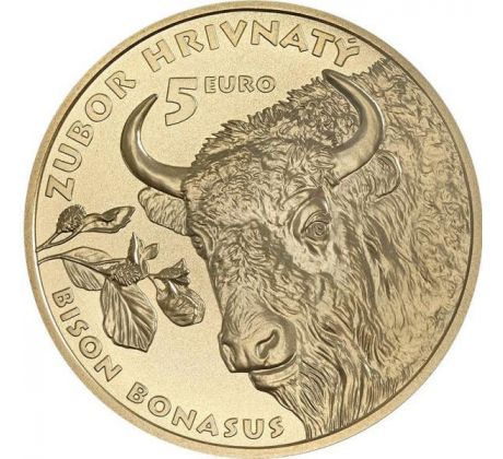 5€ 2024 Zubor hrivnatý