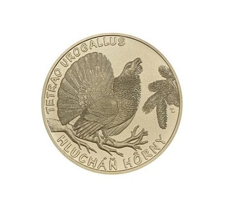 5€ 2024 Hlucháň hôrny