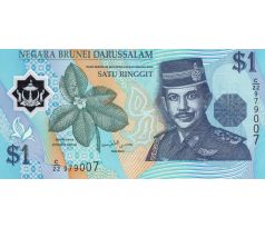 1 dollár 2011-19 Brunei polymerová bankovka
