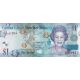 Bankovka 1 dolár Cayman Islands 2010–2018 – portrét Alžbety II., tropický motív, modro-fialový dizajn