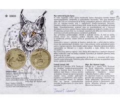 Autorská karta Rys ostrovid