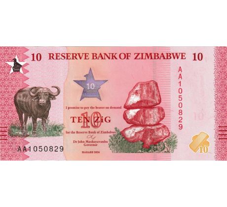 10 zig 2026 Zimbabwe