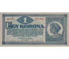1 koruna 1920 Maďarsko
