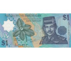 1 dollár 1996-2008 Brunej polymerová bankovka /02/